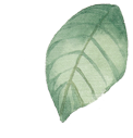 leaf5