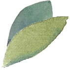 leaf6