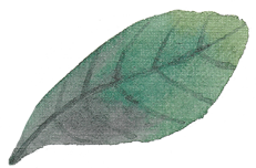 leaf7