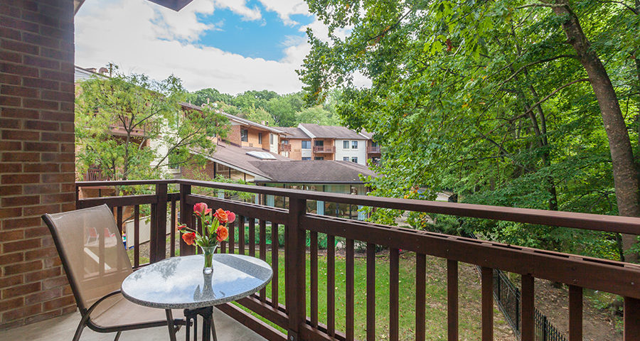 View from an apartment balcony at Potomac Place.